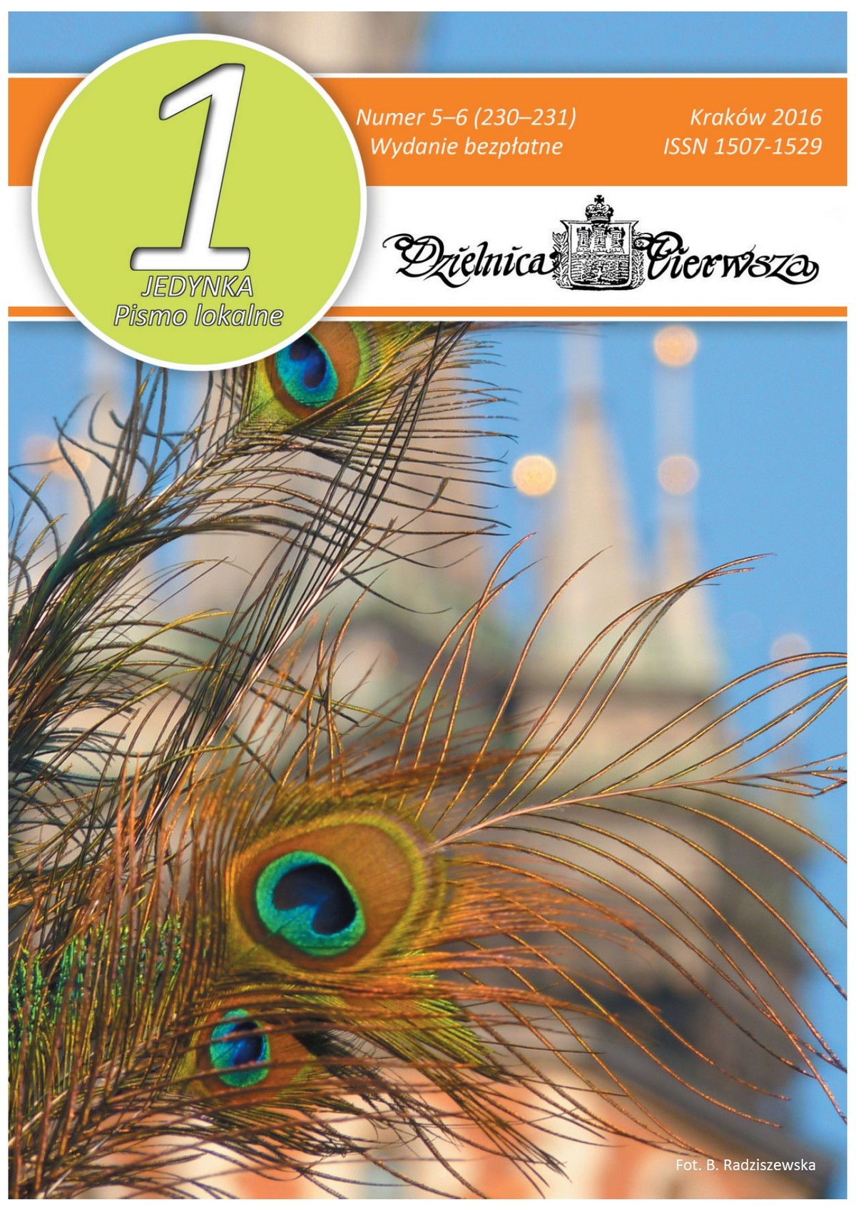 Okładka Informatora - link do pobrania pliku .pdf